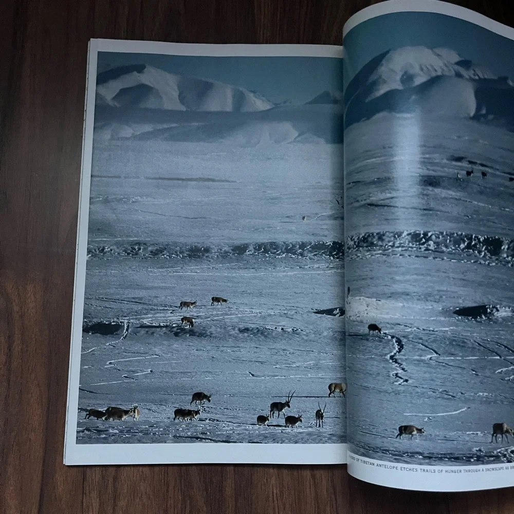 national geographic magazine from august 1993 - Picture 6 of 6